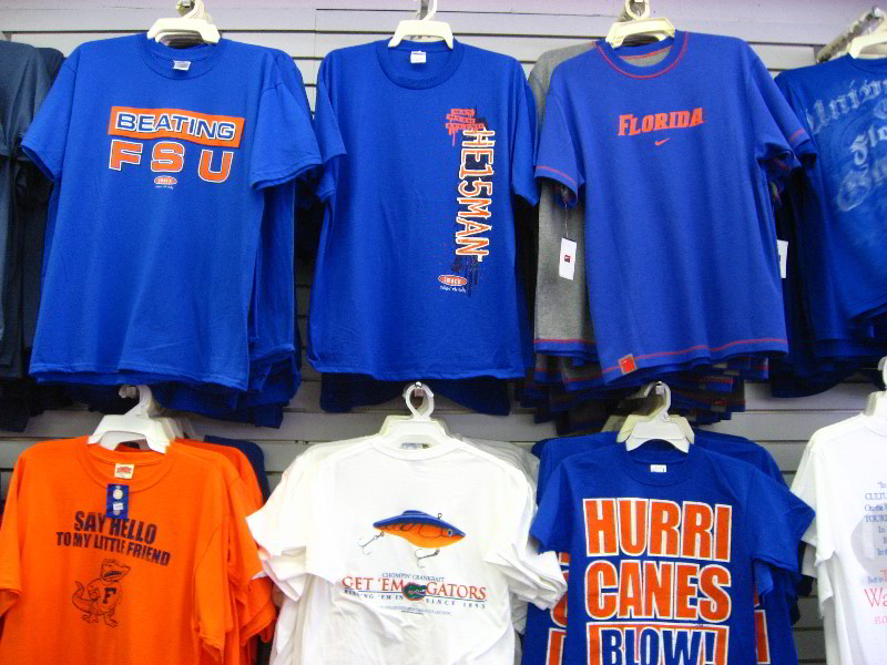 University-of-Florida-Campus-Tour-Gainesville-FL-043