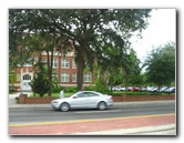 University-of-Florida-Campus-Tour-Gainesville-FL-036
