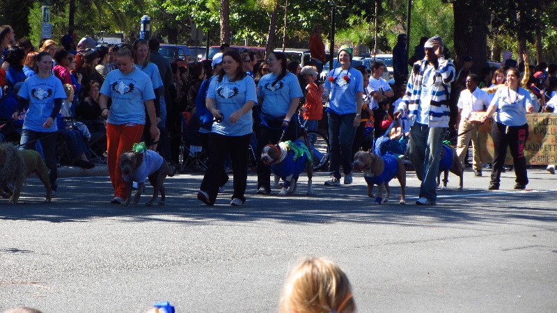 University-of-Florida-2011-Homecoming-Parade-Gainesville-FL-052