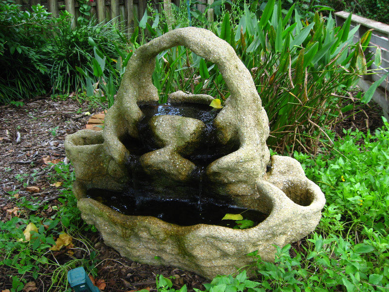 USF-Botanical-Gardens-Tampa-FL-013