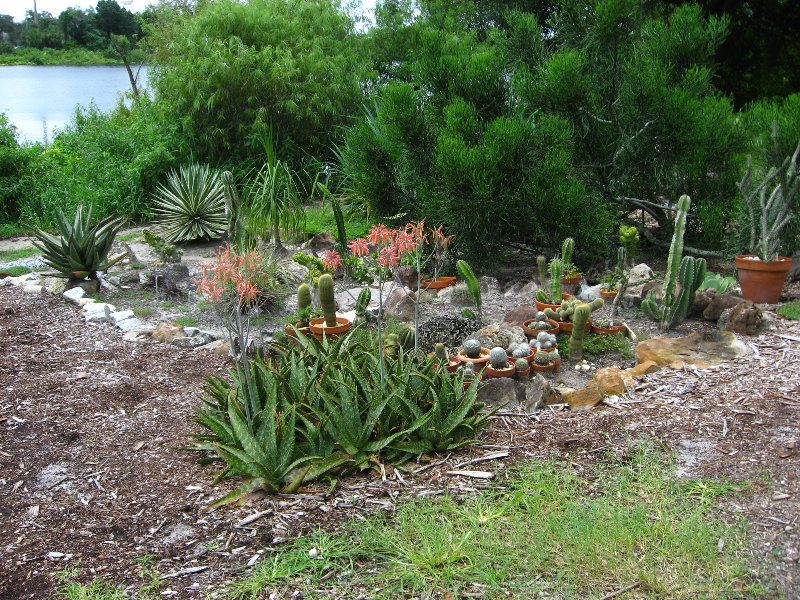 Usf Botanical Gardens Tampa Fl 031