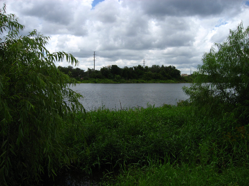 USF-Botanical-Gardens-Tampa-FL-042