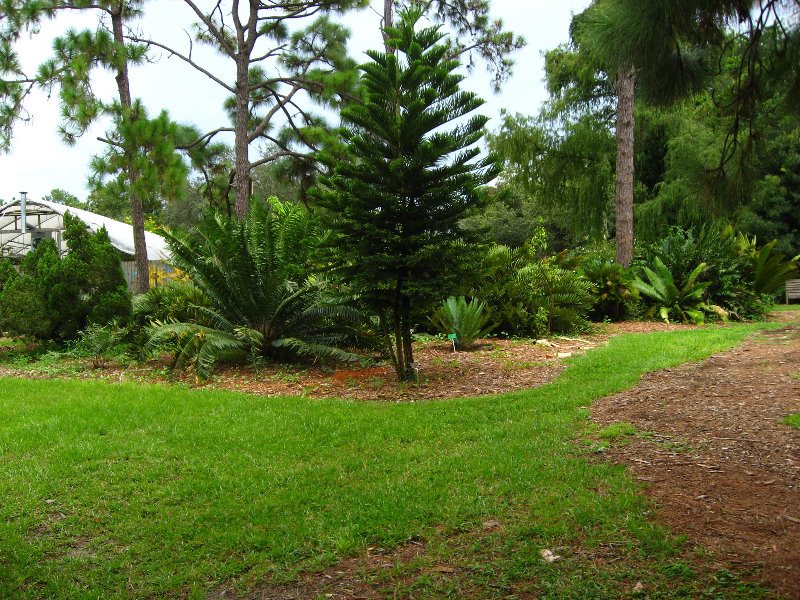 USF-Botanical-Gardens-Tampa-FL-044