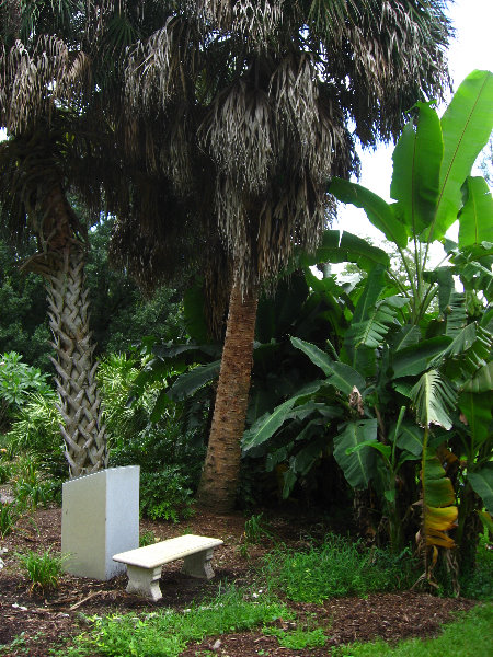 USF-Botanical-Gardens-Tampa-FL-054