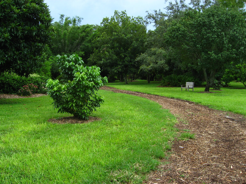 USF-Botanical-Gardens-Tampa-FL-062
