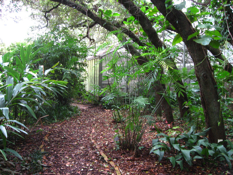 Usf Botanical Gardens Tampa Fl 092