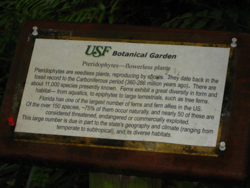 USF-Botanical-Gardens-Tampa-FL-094