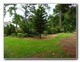 USF-Botanical-Gardens-Tampa-FL-044