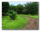 USF-Botanical-Gardens-Tampa-FL-062