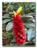 USF-Botanical-Gardens-Tampa-FL-084