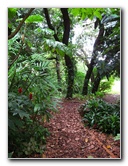 USF-Botanical-Gardens-Tampa-FL-087