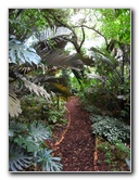 USF-Botanical-Gardens-Tampa-FL-091