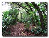 USF-Botanical-Gardens-Tampa-FL-092