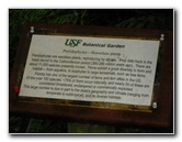 USF-Botanical-Gardens-Tampa-FL-094