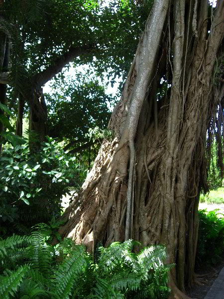 Vizcaya-Museum-Gardens-Miami-Florida-056