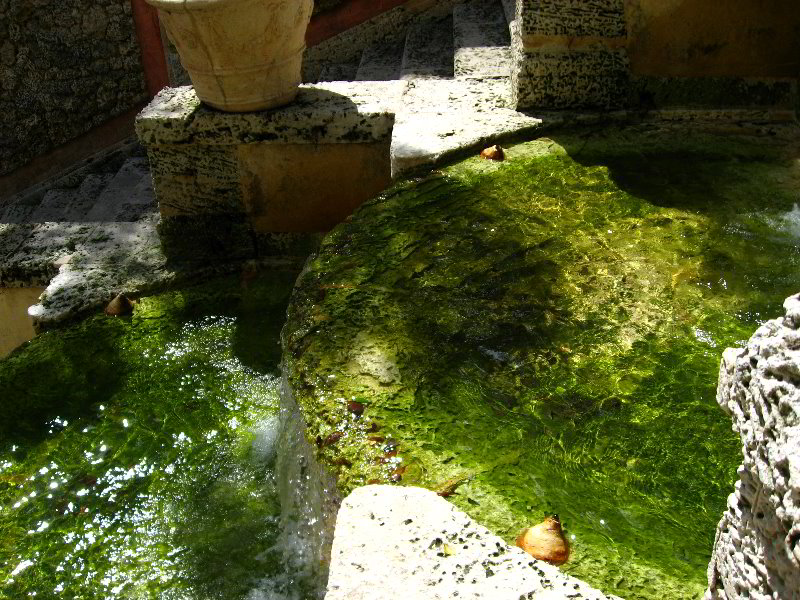 Vizcaya-Museum-Gardens-Miami-Florida-088