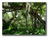 Vizcaya-Museum-Gardens-Miami-Florida-081