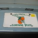 2012-2016 Volkswagen Beetle License Plate Light Bulbs Replacement Guide