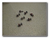 VW-Beetle-Tail-Light-Bulbs-Replacement-Guide-015