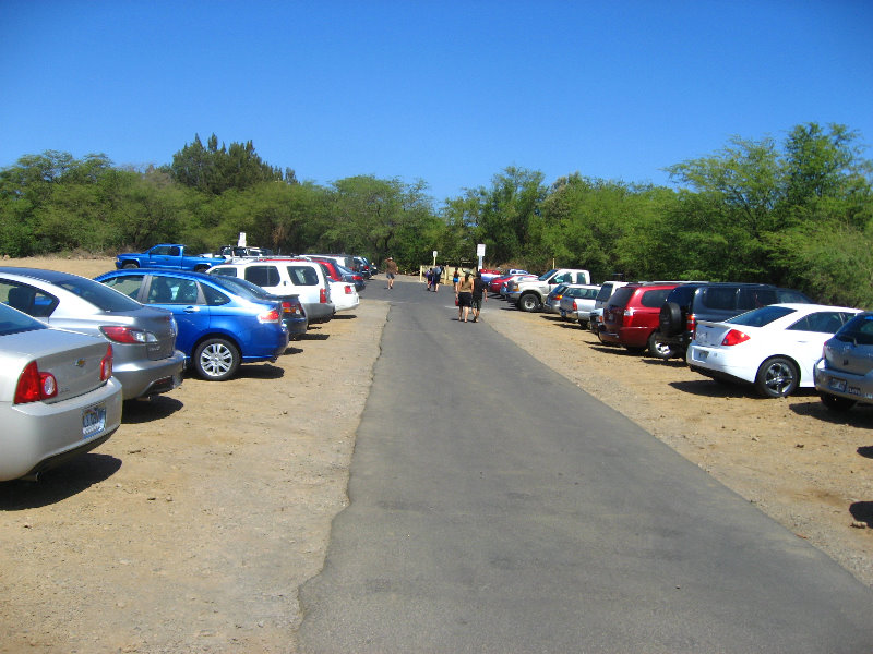 Waialea-Bay-Beach-69-Snorkeling-Kamuela-Big-Island-Hawaii-002