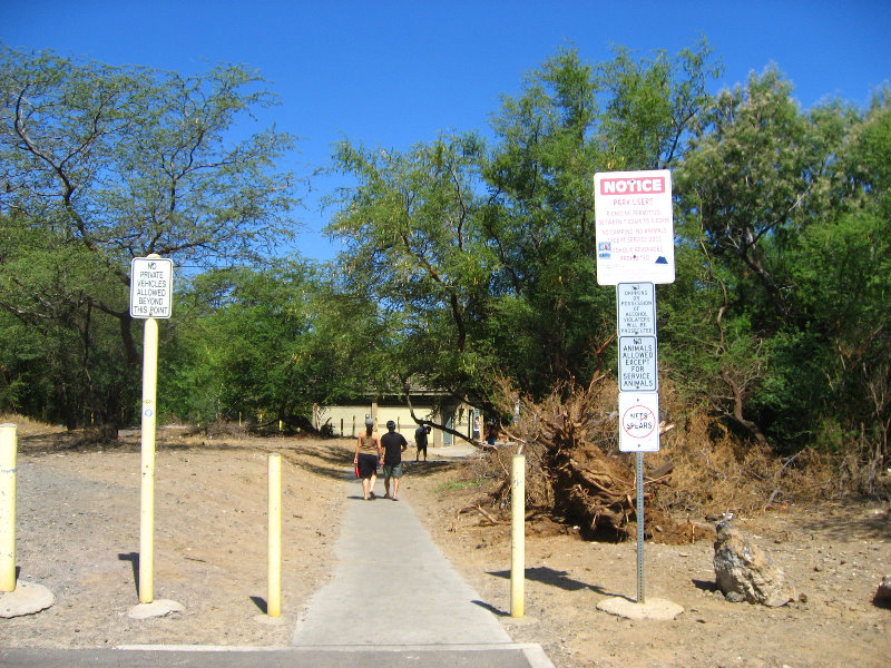 Waialea-Bay-Beach-69-Snorkeling-Kamuela-Big-Island-Hawaii-003
