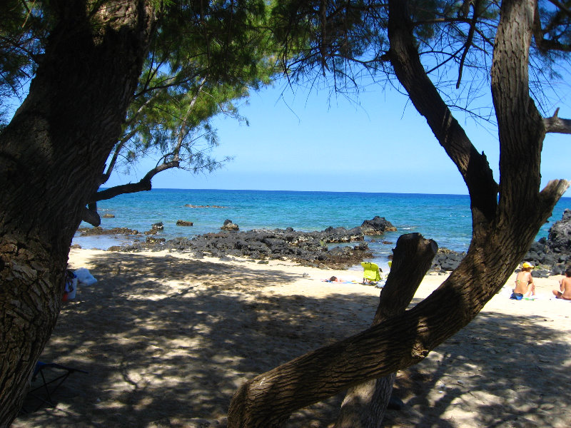 Waialea-Bay-Beach-69-Snorkeling-Kamuela-Big-Island-Hawaii-006