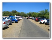 Waialea-Bay-Beach-69-Snorkeling-Kamuela-Big-Island-Hawaii-002