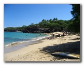 Waialea-Bay-Beach-69-Snorkeling-Kamuela-Big-Island-Hawaii-009