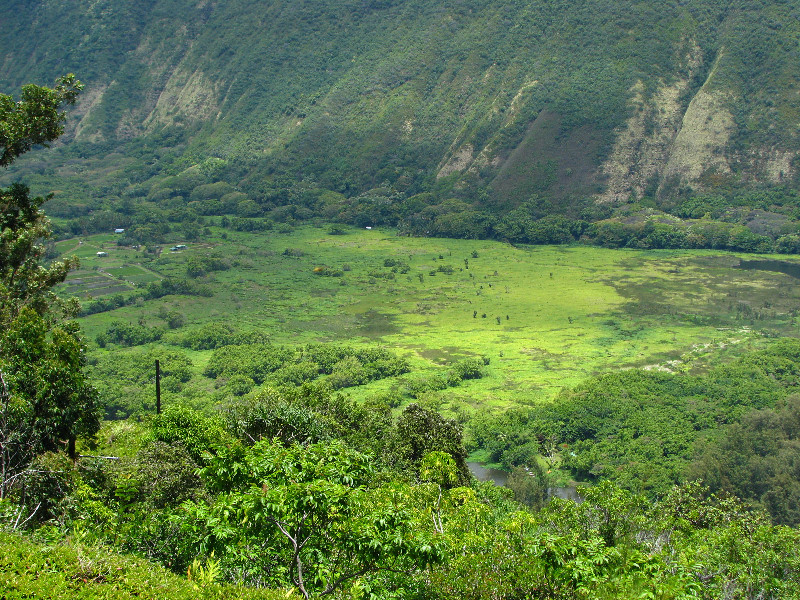 Waipio-Valley-Lookout-Hamakua-Coast-Big-Island-Hawaii-015
