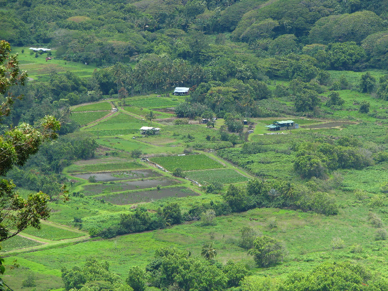 Waipio-Valley-Lookout-Hamakua-Coast-Big-Island-Hawaii-018