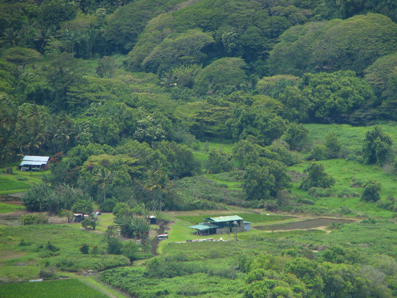 Waipio-Valley-Lookout-Hamakua-Coast-Big-Island-Hawaii-019