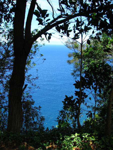 Waipio-Valley-Lookout-Hamakua-Coast-Big-Island-Hawaii-021