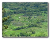 Waipio-Valley-Lookout-Hamakua-Coast-Big-Island-Hawaii-018
