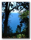 Waipio-Valley-Lookout-Hamakua-Coast-Big-Island-Hawaii-021