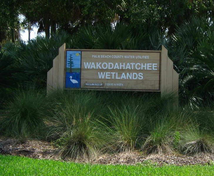 Wakodahatchee-Wetlands-Delray-Beach-FL-001