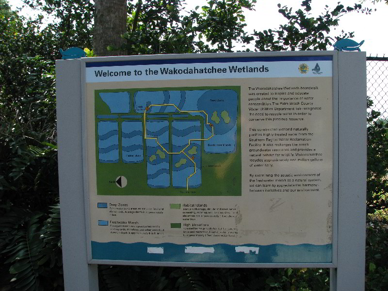 Wakodahatchee-Wetlands-Delray-Beach-FL-002