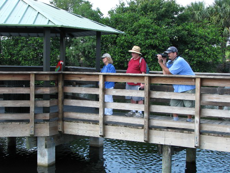 Wakodahatchee-Wetlands-Delray-Beach-FL-011