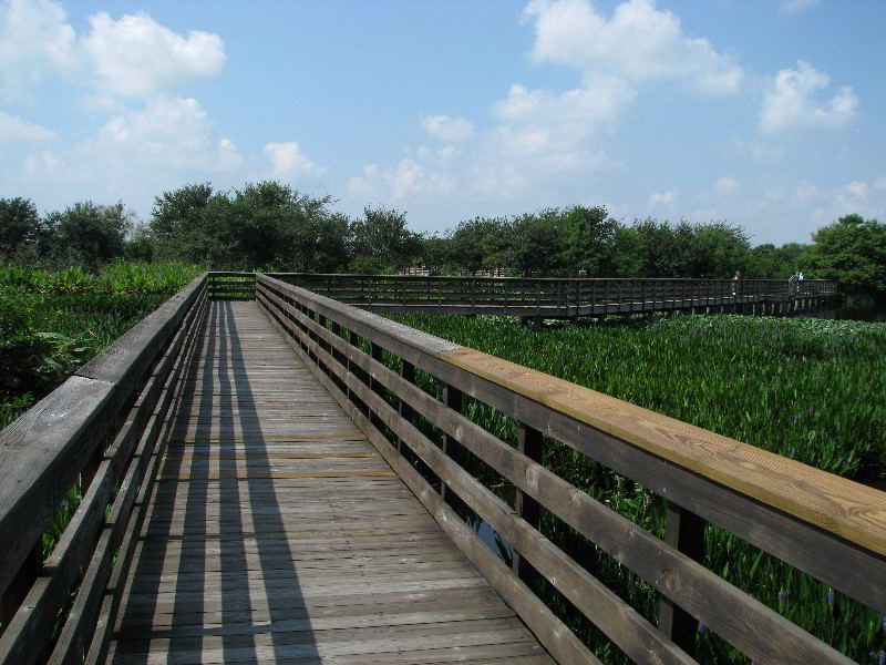 Wakodahatchee-Wetlands-Delray-Beach-FL-022