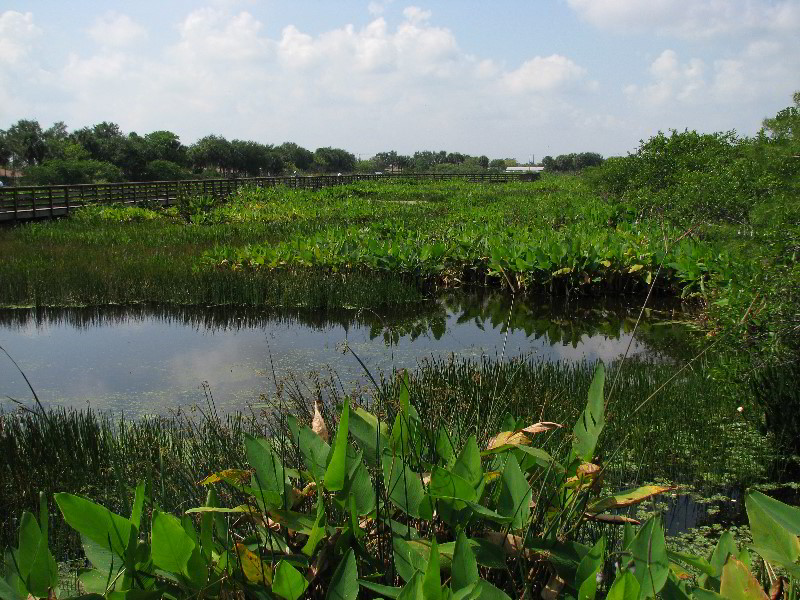 Wakodahatchee-Wetlands-Delray-Beach-FL-029