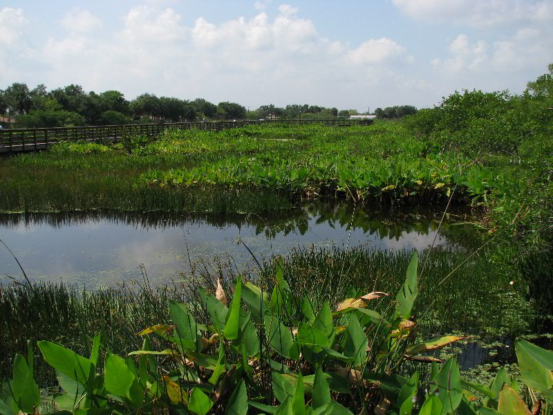 Wakodahatchee-Wetlands-Delray-Beach-FL-029