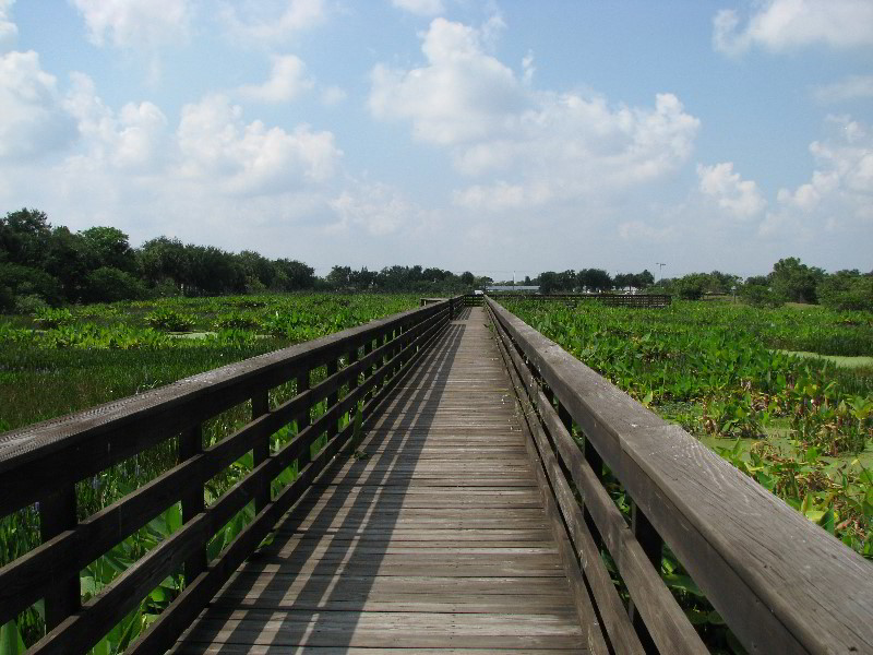 Wakodahatchee-Wetlands-Delray-Beach-FL-033