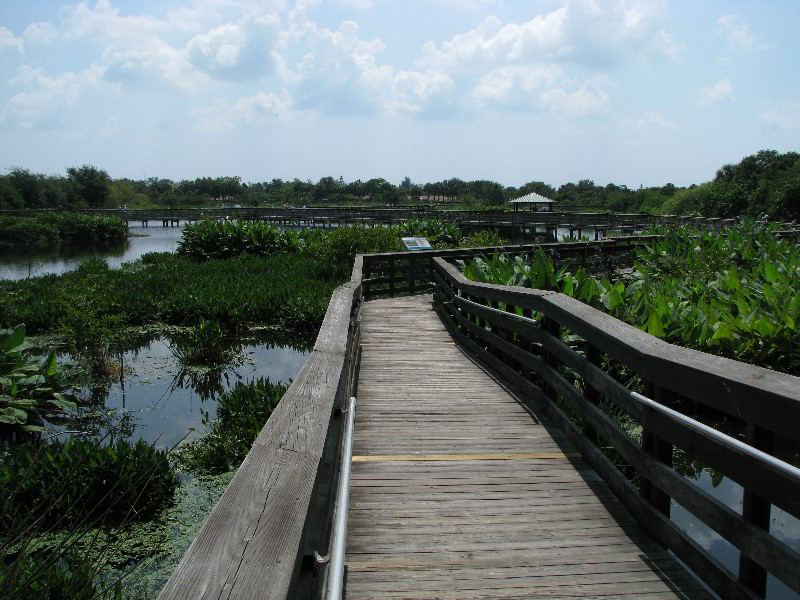 Wakodahatchee-Wetlands-Delray-Beach-FL-072