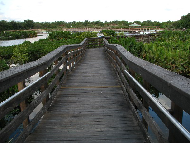 Wakodahatchee-Wetlands-Delray-Beach-FL-076