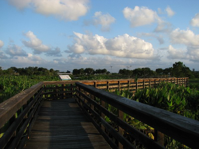 Wakodahatchee-Wetlands-Delray-Beach-FL-104