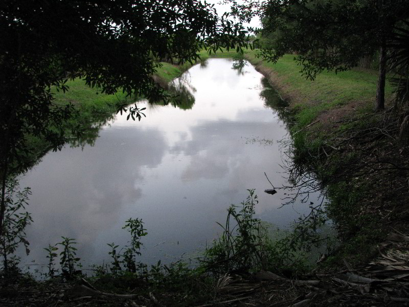 Wakodahatchee-Wetlands-Delray-Beach-FL-120