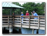 Wakodahatchee-Wetlands-Delray-Beach-FL-011