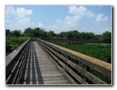 Wakodahatchee-Wetlands-Delray-Beach-FL-022