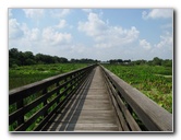 Wakodahatchee-Wetlands-Delray-Beach-FL-033