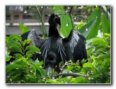 Wakodahatchee-Wetlands-Delray-Beach-FL-062