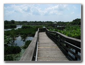 Wakodahatchee-Wetlands-Delray-Beach-FL-072